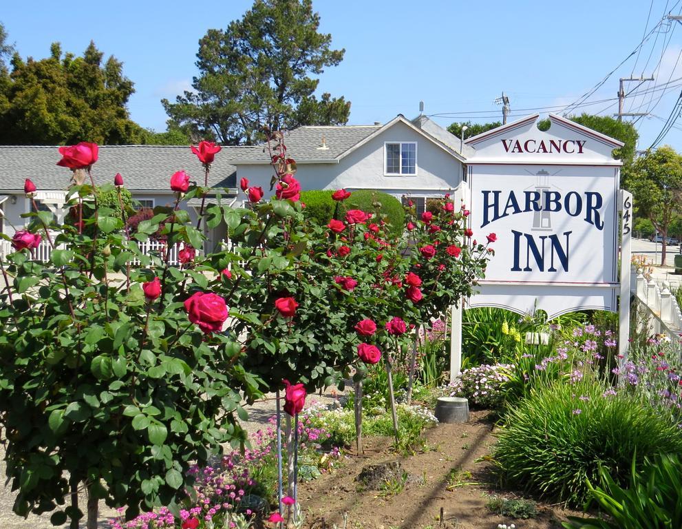 Harbor Santa Cruz
